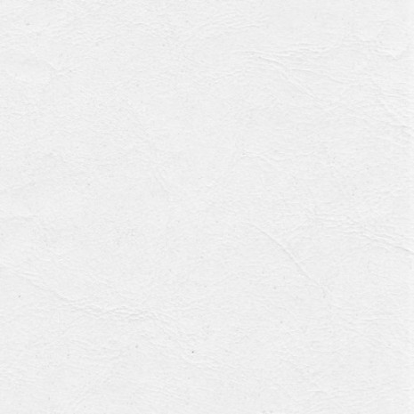 texas_white
