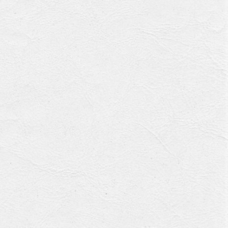 Ostin White